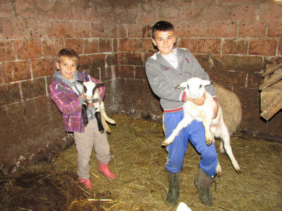 Dario i Marko Samardžija