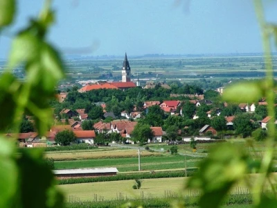 51. Iločka berba grožđa najava