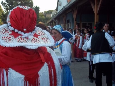 51. Iločka berba grožđa najava