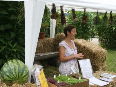 Predstavljanje permakulturnog vrta