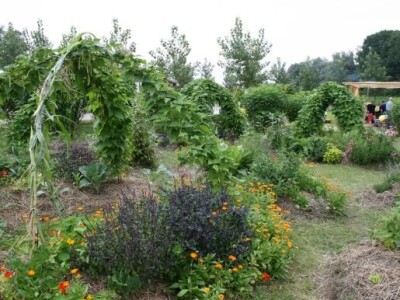 Permakulturni vrt po biodinamičkoj metodi