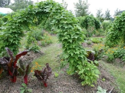 Permakultura na AGRA sajmu