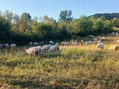 IZBRISATI