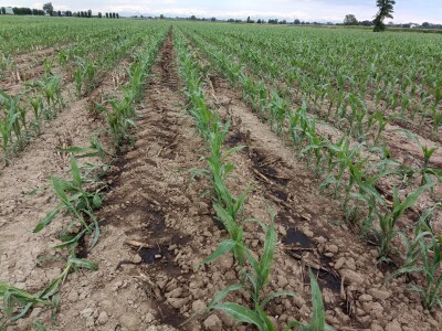 Mreža regenerativne poljoprivrede