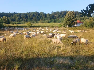 IZBRISATI