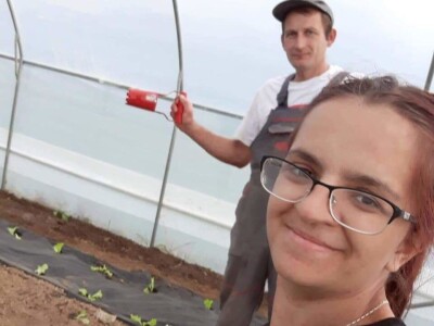 Dragana Jačimović - Domaće i naše