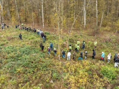 Šumoborci u Brezovici