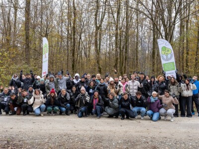 Šumoborci u Brezovici