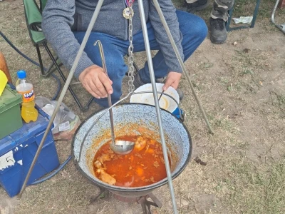 Rezidba jabuka