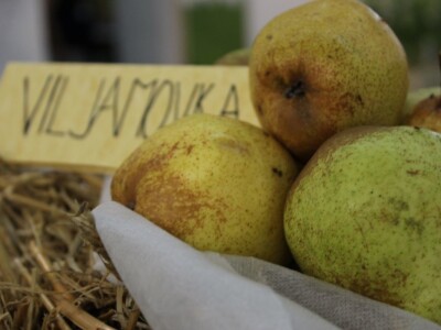 56. Agra u Gornjoj Radgoni otvorila vrata posetiocima