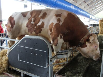 56. Agra u Gornjoj Radgoni otvorila vrata posjetiteljima