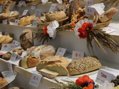 56. Agra u Gornjoj Radgoni otvorila vrata posjetiteljima