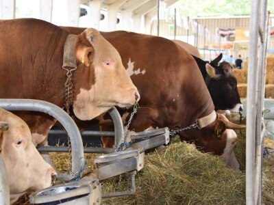 56. Međunarodni poljoprivredno-prehrambeni sajam AGRA 2018.