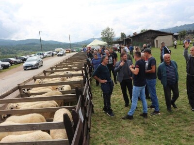 56. Regionalna poljoprivredna izložba i sajam u Rogatici