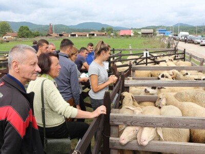 56. Regionalna poljoprivredna izložba i sajam u Rogatici