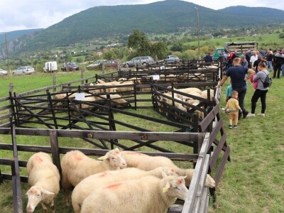 56. Regionalna poljoprivredna izložba i sajam u Rogatici