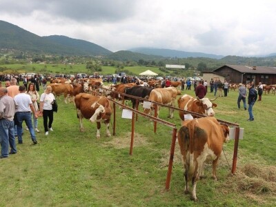56. Regionalna poljoprivredna izložba i sajam u Rogatici