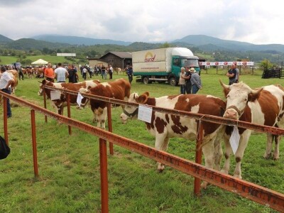 56. Regionalna poljoprivredna izložba i sajam u Rogatici