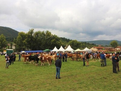 56. Regionalna poljoprivredna izložba i sajam u Rogatici