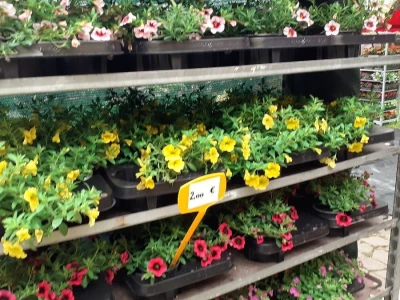 57. Floraart na Bundeku