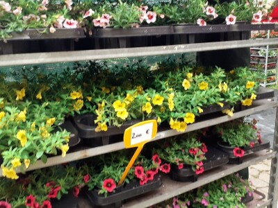 57. Floraart na Bundeku 57. Floraart na Bundeku