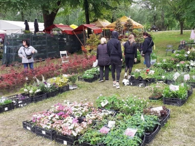 57. Floraart na Bundeku