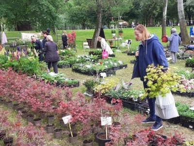 57. Floraart na Bundeku