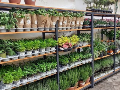 57. Floraart na Bundeku 57. Floraart na Bundeku