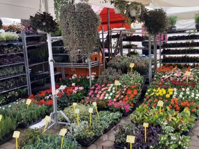 57. Floraart na Bundeku