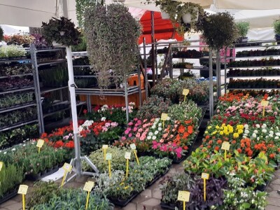 57. Floraart na Bundeku 57. Floraart na Bundeku