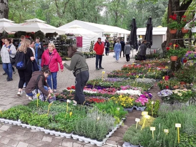 57. Floraart na Bundeku