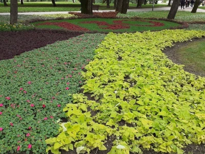 57. Floraart na Bundeku