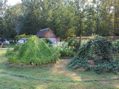 57. međunarodni poljoprivredno-prehrambeni sajam AGRA 2019