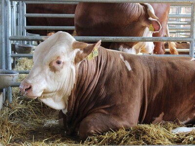 57. međunarodni poljoprivredno-prehrambeni sajam AGRA 2019