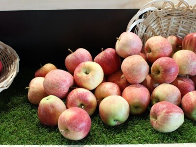 57. međunarodni poljoprivredno-prehrambeni sajam AGRA 2019