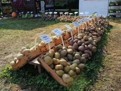 57. međunarodni poljoprivredno-prehrambeni sajam AGRA 2019