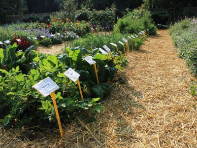 57. međunarodni poljoprivredno-prehrambeni sajam AGRA 2019