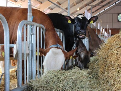 57. međunarodni poljoprivredno-prehrambeni sajam AGRA 2019