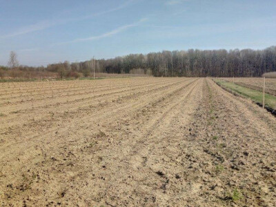 OPG Cetinić Frankos OPG Cetinić Frankos