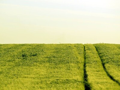 Proljeće u požeškom kraju