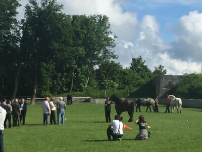2. smotra Hrvatskog hladnokrvnjaka