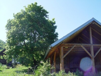 Na imanju u Novom Selu Okićkom