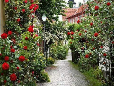 Ideje za razvoj turizma u Otoku