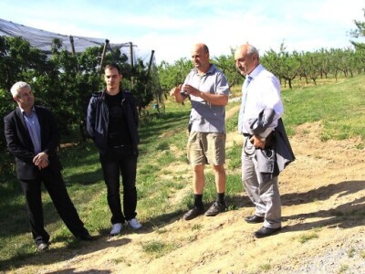 Ulaganja u gospodarstva pomoću IPARD fonda