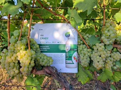 AgroChem Maks - dani polja