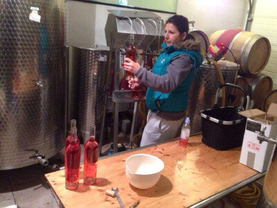 Enologinja Dragana Šulentić