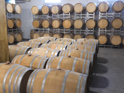 Andrija nastavio utabanim stazama predaka, košarkaš se vratio selu