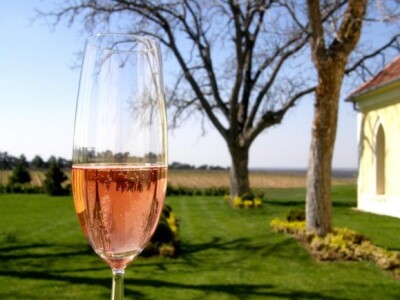 Agrarni novinari iz Novog Sada u poseti Iločkom podrumu