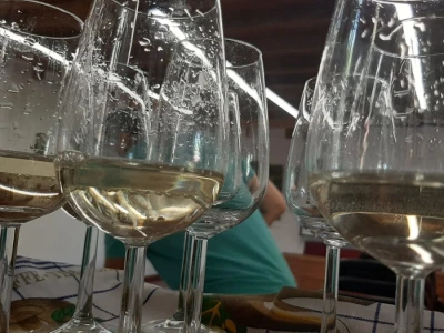 Ocenjivanje vina i rakija u Topoli, foto: M. Lazarević