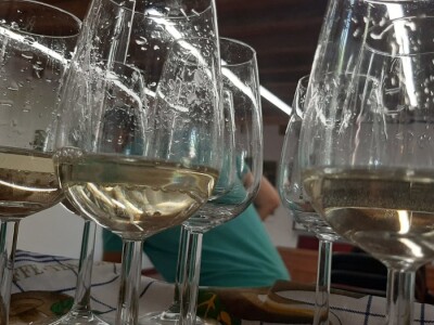 Ocenjivanje vina i rakija u Topoli, foto: M. Lazarević Ocenjivanje vina i rakija u Topoli, foto: M. Lazarević